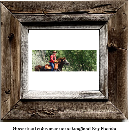 horse trail rides near me in Longboat Key, Florida